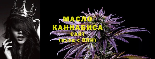 гашик Мегион