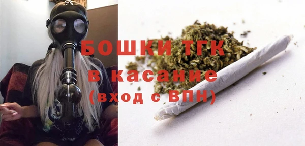 гашик Мегион