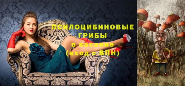 а пвп мука Медвежьегорск