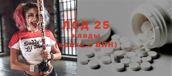 гашик Мегион