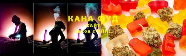 гашик Мегион