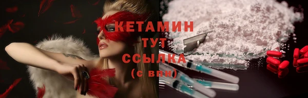 гашик Мегион