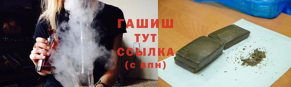 гашик Мегион