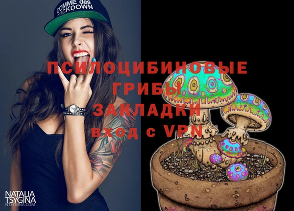 первитин Медногорск