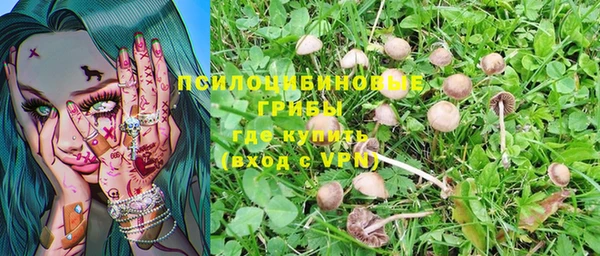 а пвп мука Медвежьегорск
