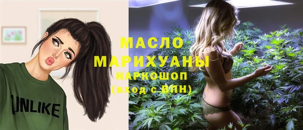 гашик Мегион